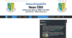 Desktop Screenshot of naascbs.ie